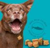 Stewart Freeze Dried Wild Salmon Treats