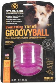 Starmark Everlasting Treat Groovy Ball Medium (2 count: 2 count Starmark Everlasting Treat Groovy Ball Medium)