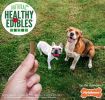 Nylabone Healthy Edibles Natural Chewy Sticks Bacon and Cheese Flavor